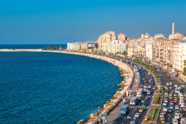 Alexandria tours and activties