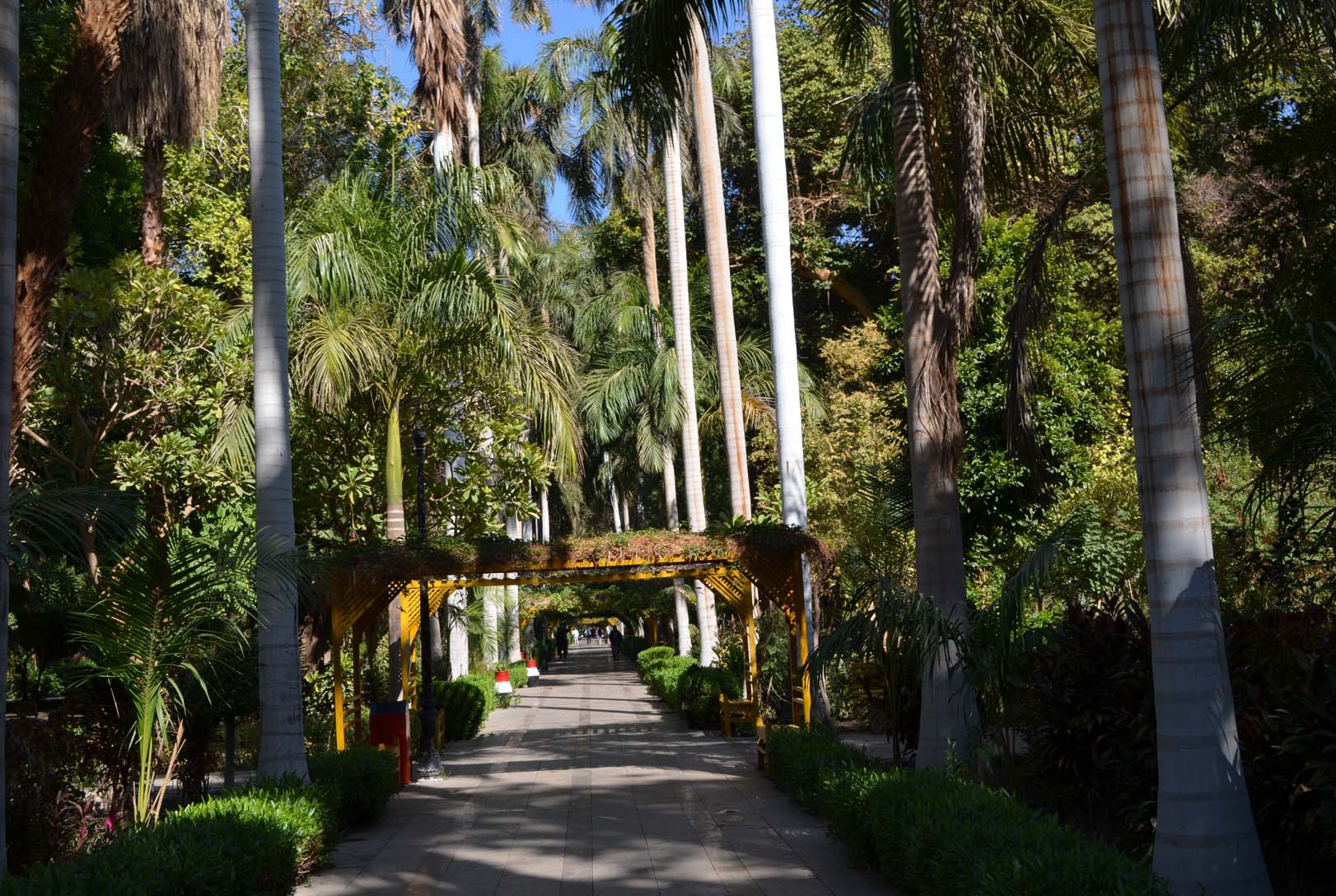 
Visita al Jardín Botánico