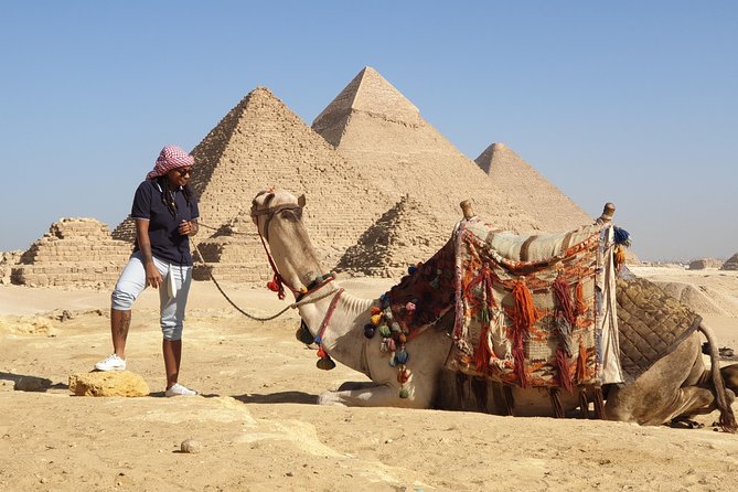 Активный отдых у пирамид катание на верблюдах 