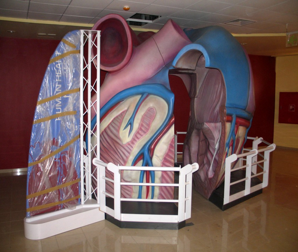 
Suzanne Mubarak Science Exploration Center