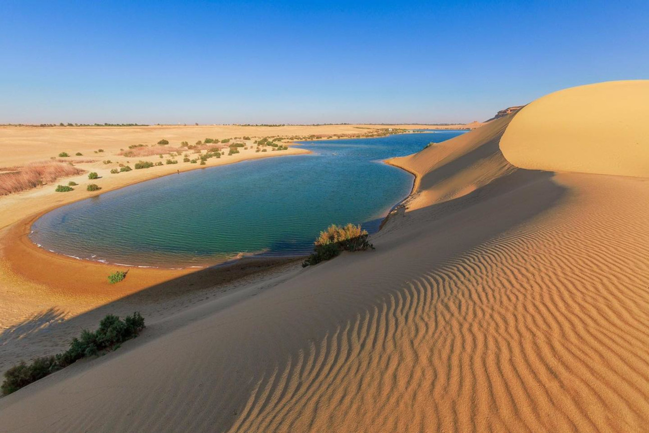 
Magic lake in Fayoum oasis