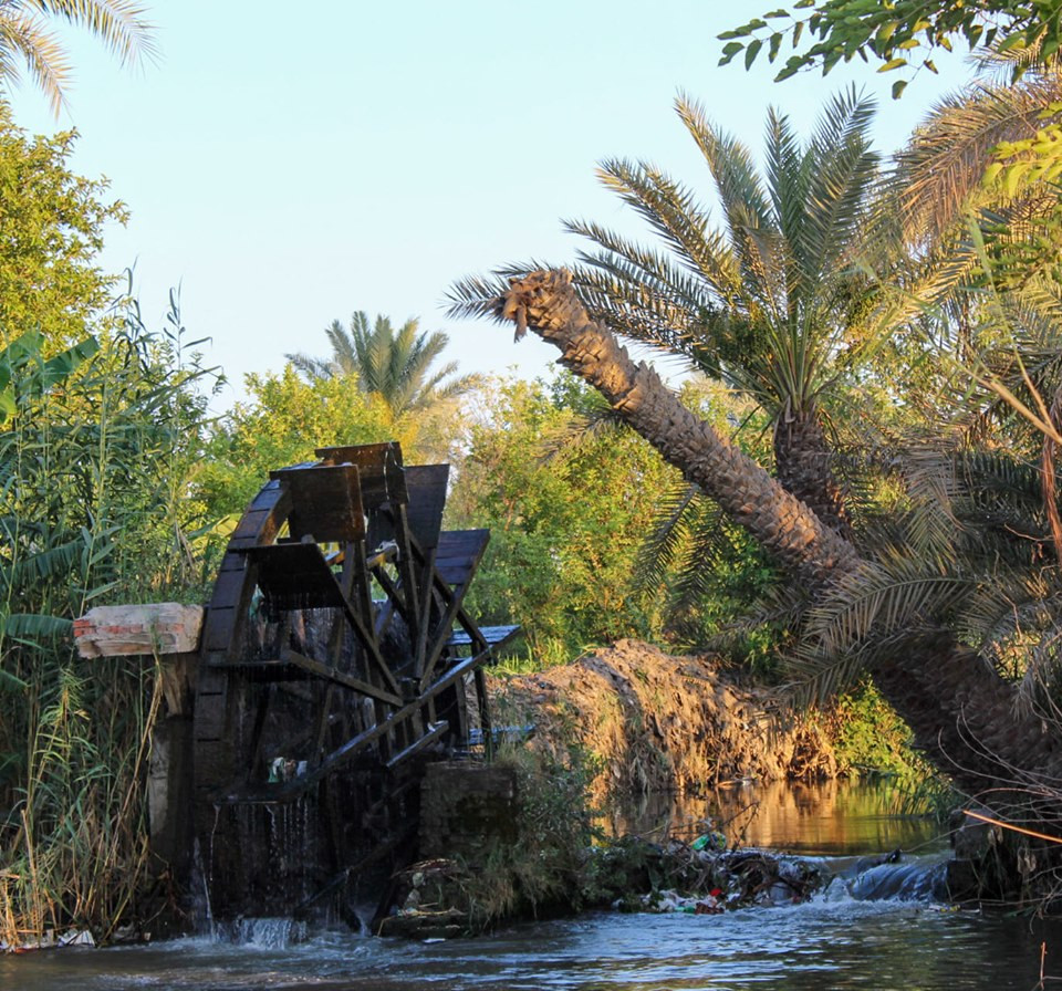 
Fayoum's water wheels