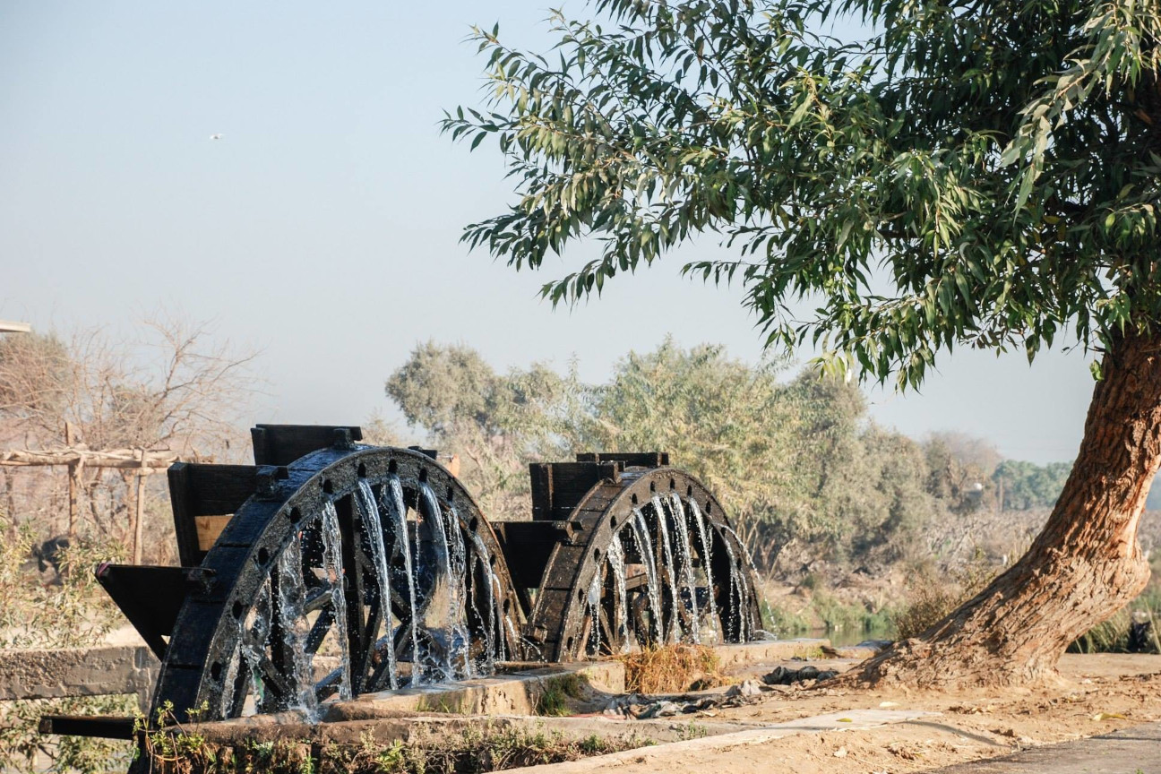 Water wheel in Fayoum oasis