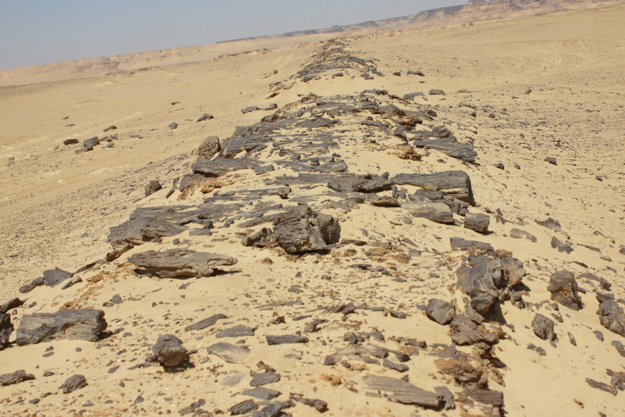 
The oldest paved road, Fayoum