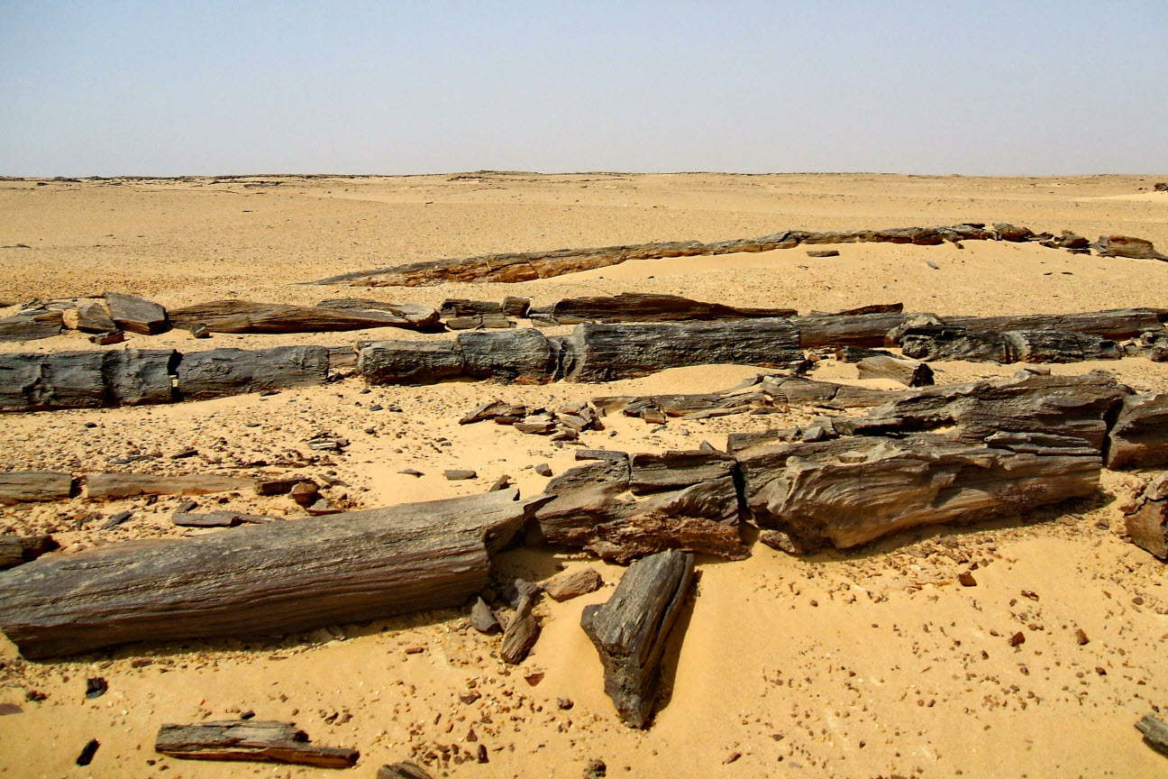 
Petrified forest, Gabal el Qatrani