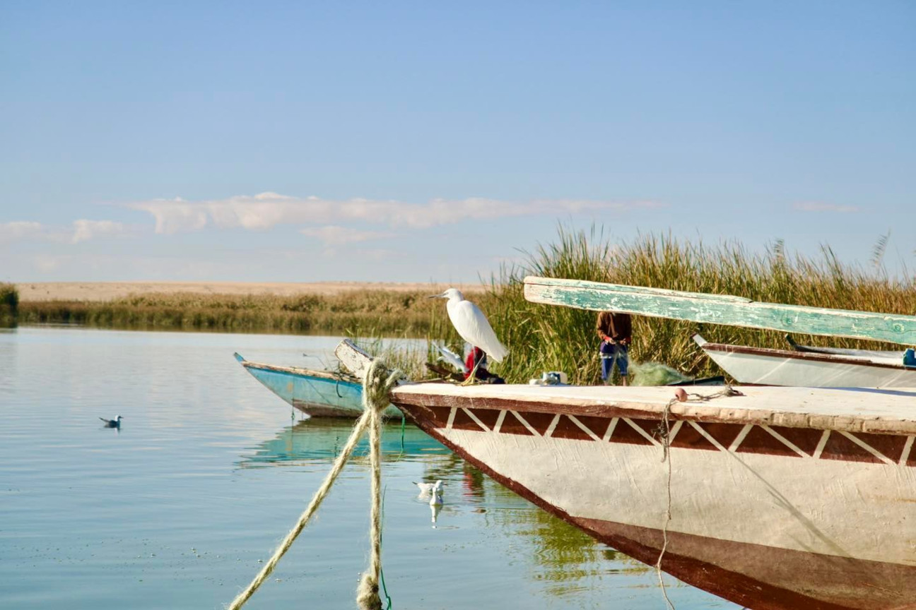 
Qarun lake bird watching tours