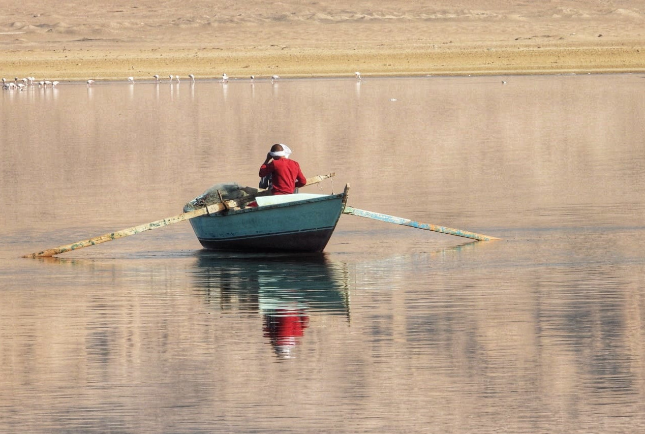 
Tours to Qarun lake from Cairo