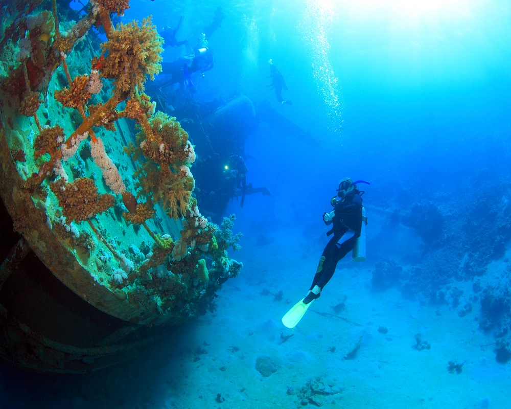 
Abu Nahas diving site