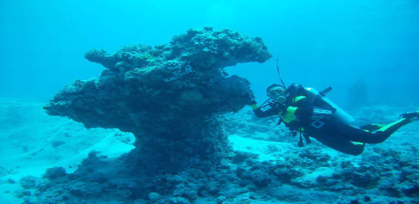 
Гота Абу Рамада место для подводного плавания, Красное море