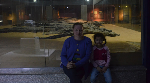 Mummified crocodiles main display.