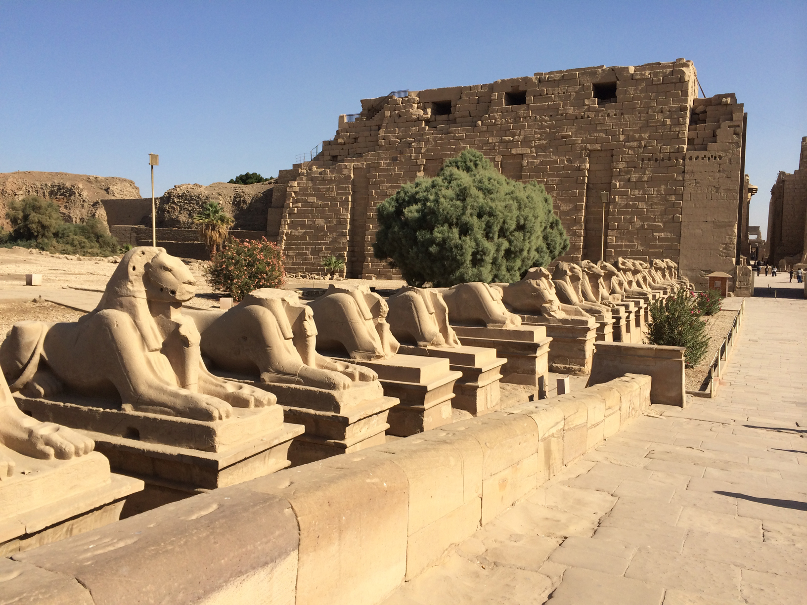 
Alley Of The Ram-headed at Karank temple