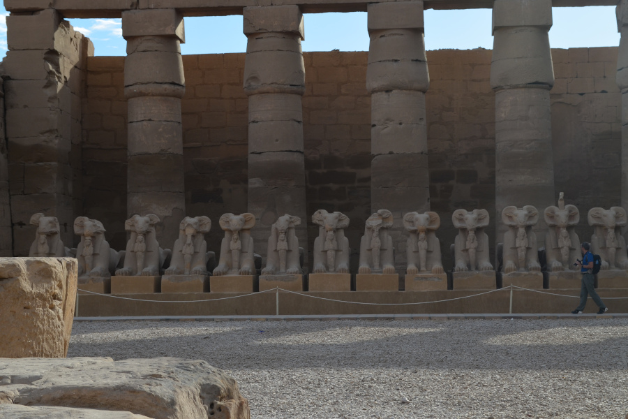 
Carneros en el templo de Karnak
