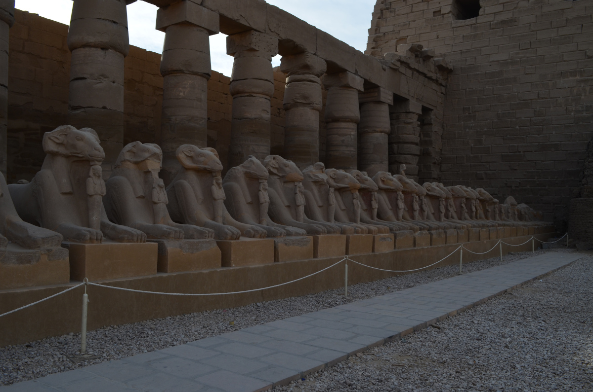 
Rams Avenue, visita al templo de Karnak