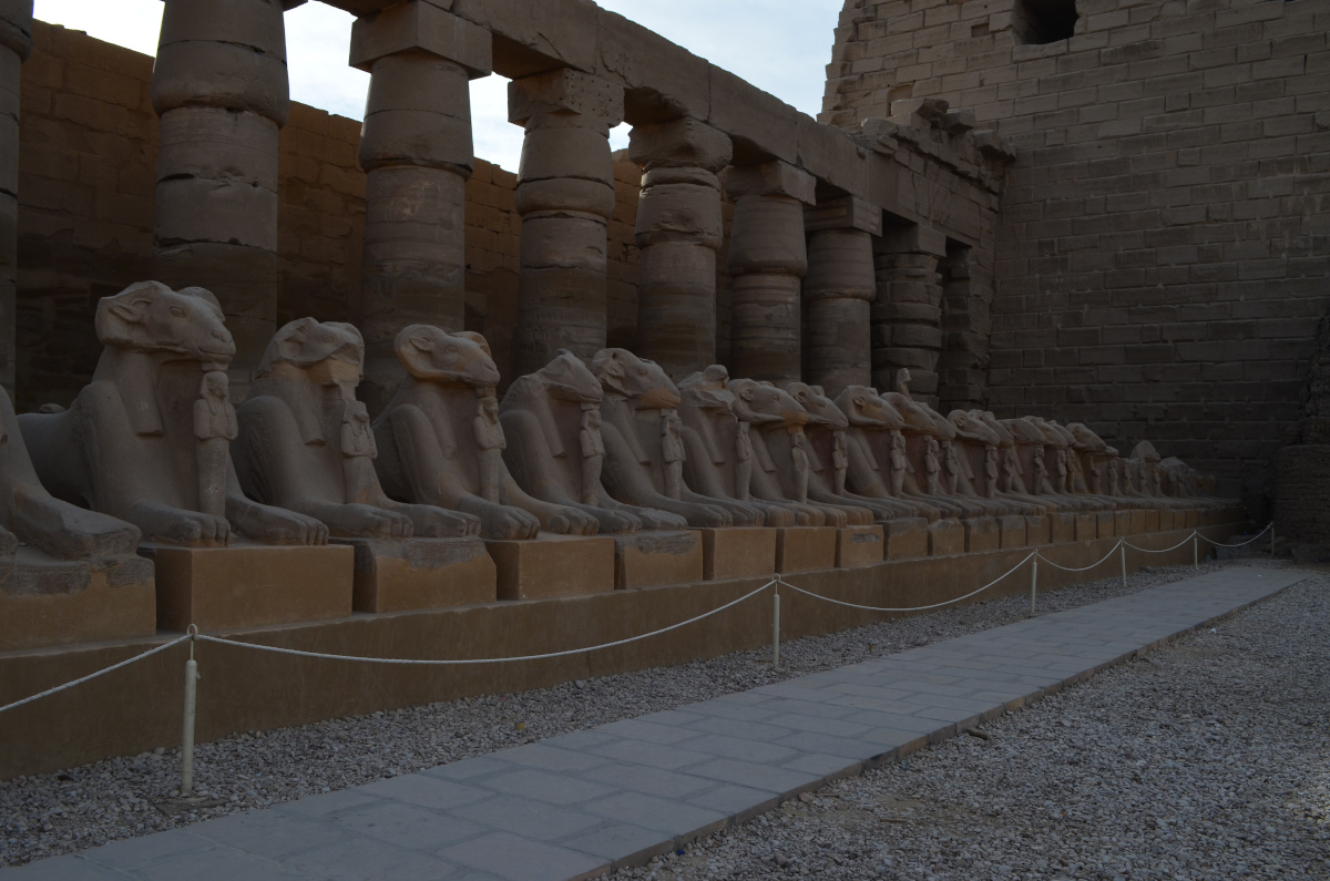 
Rams avenue, tour del tempio di Karnak