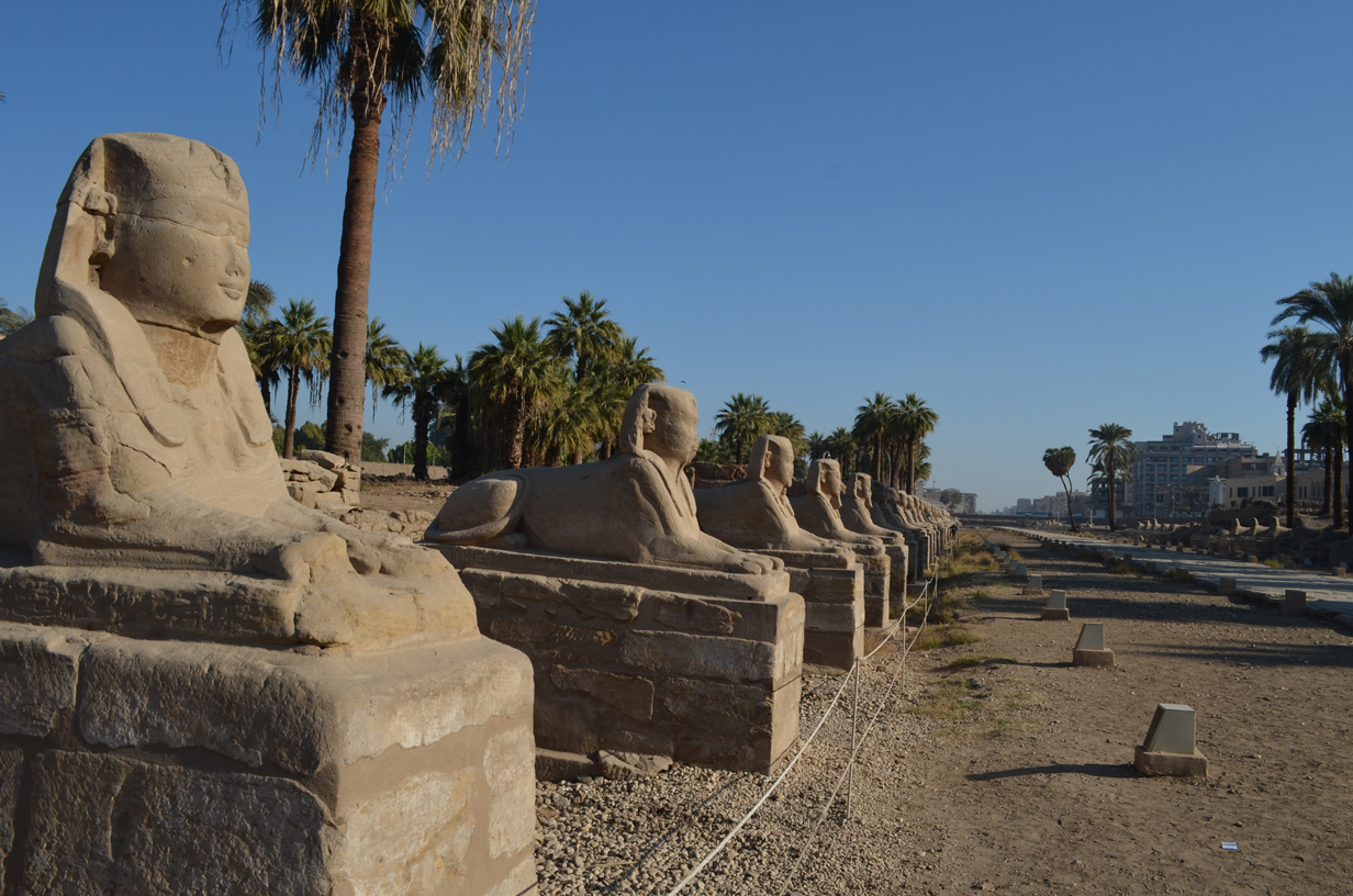 Avenue des Sphinx dans le temple de Louxor 