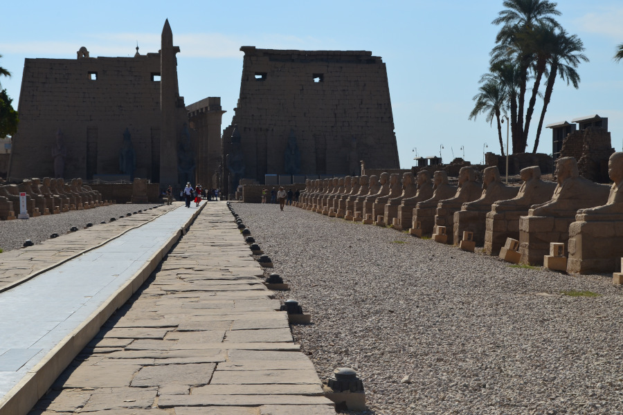 Avenida de las esfinges en el templo de Luxor
