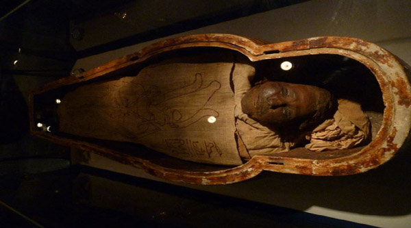 
Human mummy.