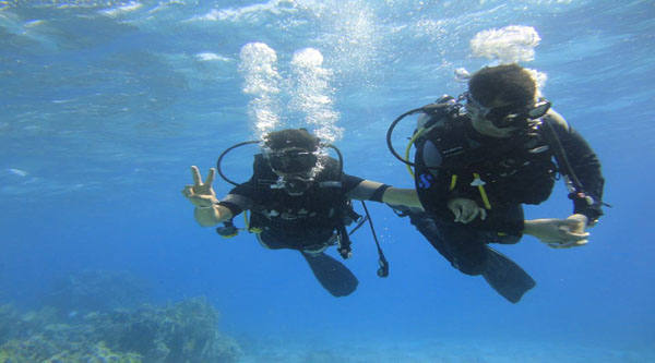 
Diving in Sharm El Sheikh