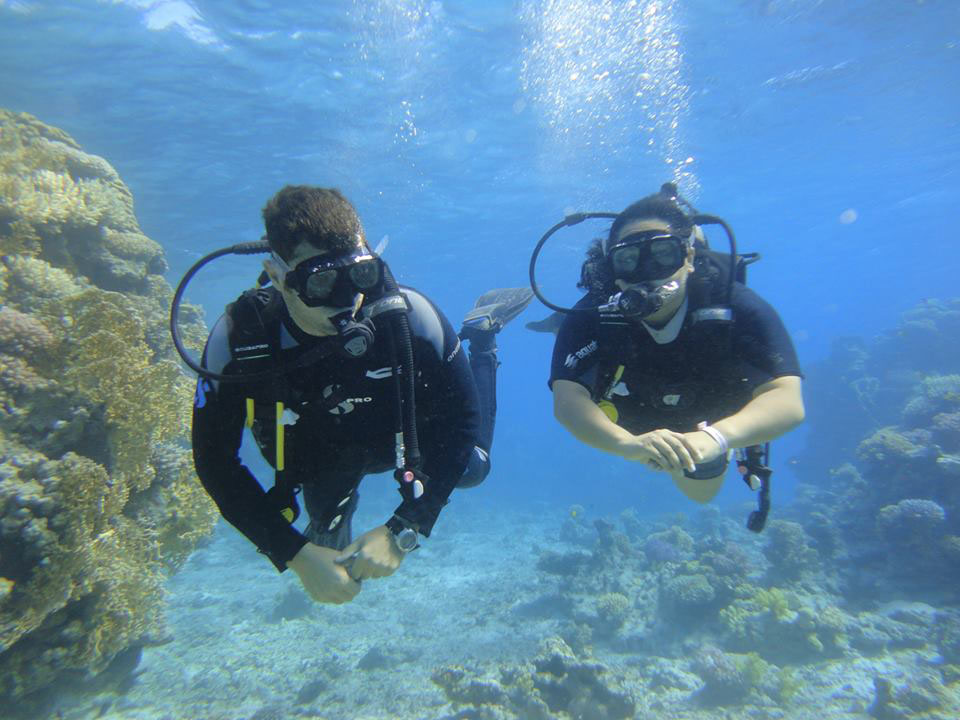 Daily scuba diving activities from Sharm el Sheikh