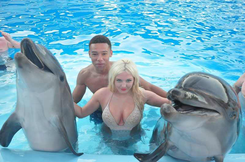 
Swimming with dolphins in Sharm El Sheikh