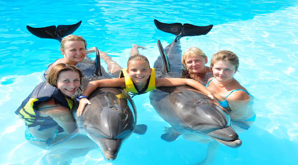 Photo session with dolphins