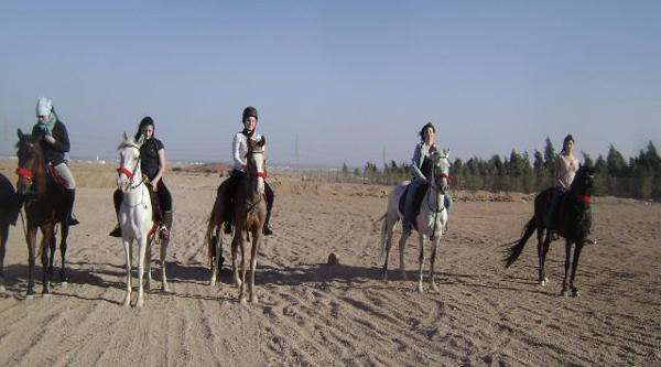  Escursione a cavallo nel deserto di Sharm el Sheikh 