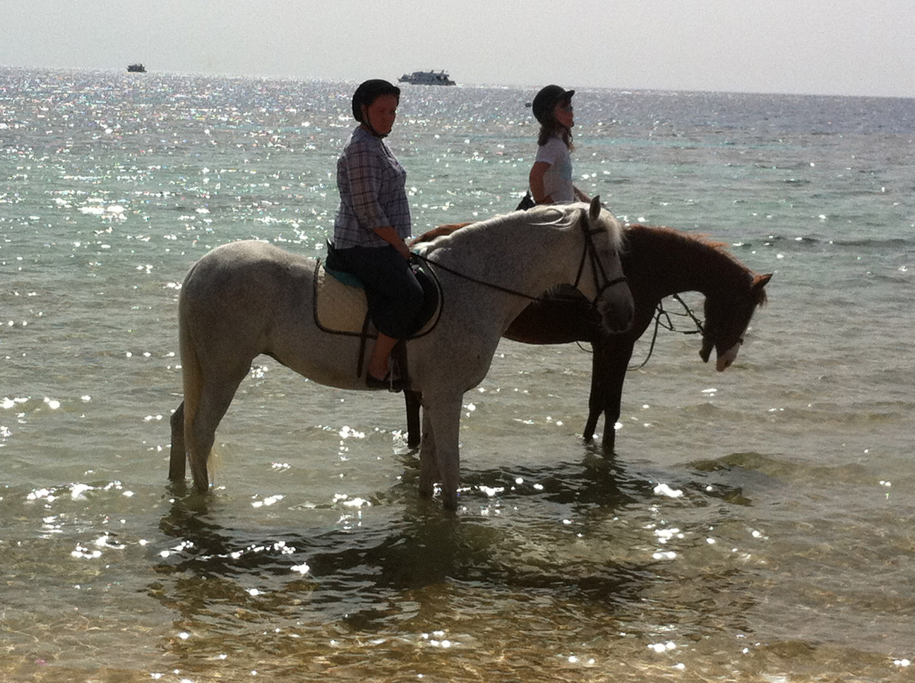 Horse riding along the beaches of Sharm el Sheikh