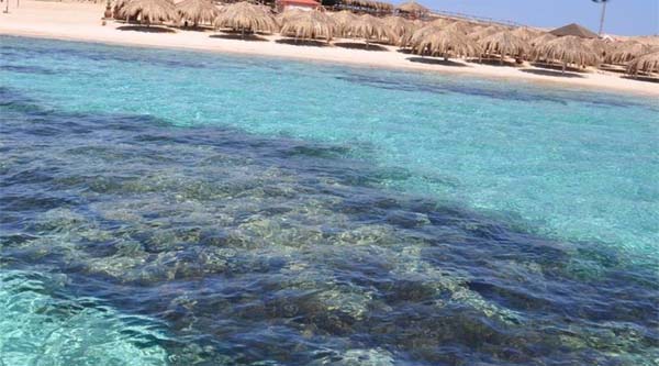 
Corals near Paradise island