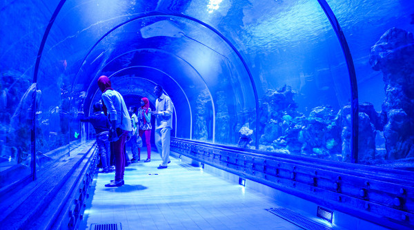 
Grande acquario a Hurghada