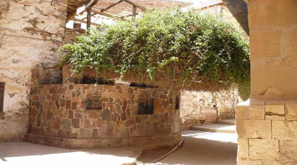 Résultat de recherche d'images pour "burning bush saint catherine monastery"