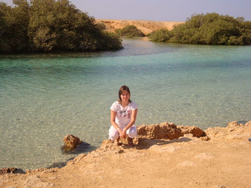 Sur la chaîne Ras Mohammed Mangroves 