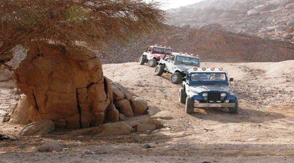 Safari por desierto de Sinaí. 