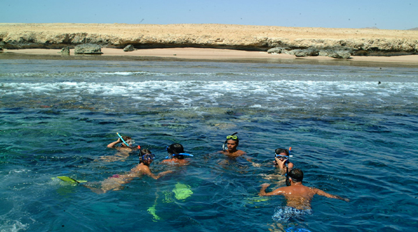 Escursioni snorkeling in Mar Rosso. 