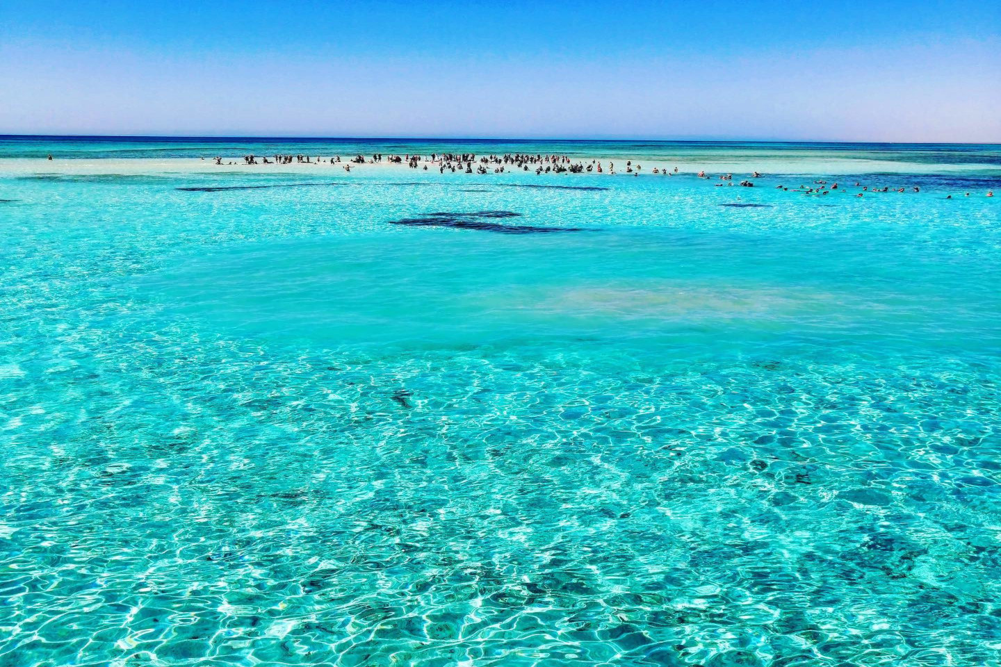 White island boat tour