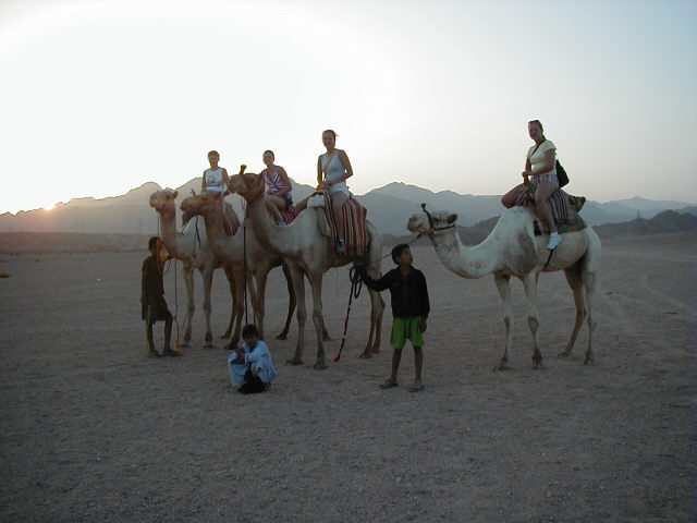  Safari a los beduinos desde Sharm El Sheikh 5 en uno 