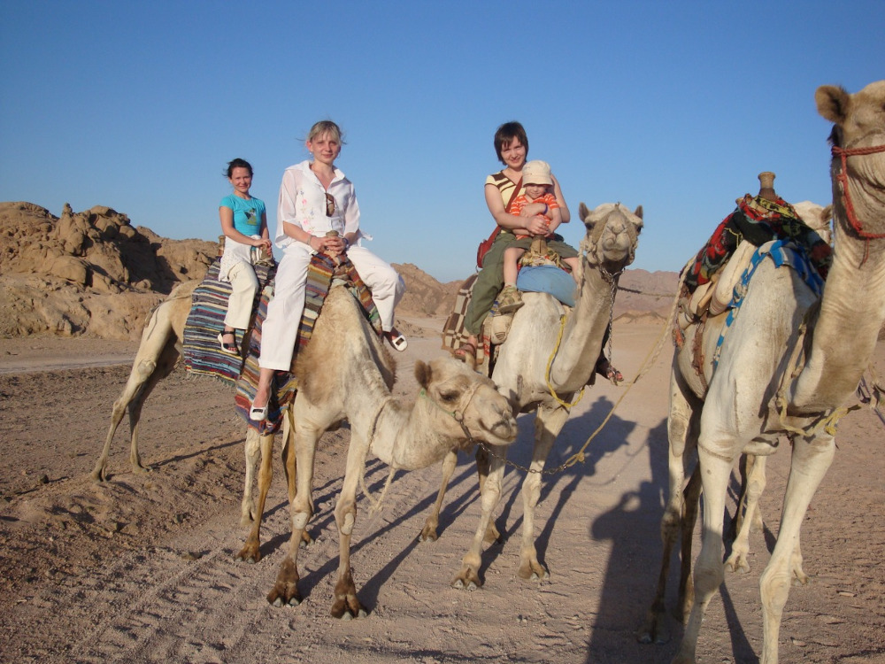 
Egypt camel riding tours
