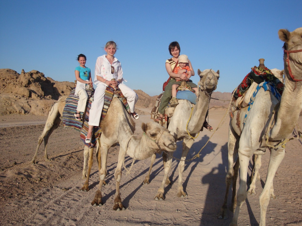 
Egypt camel riding tours