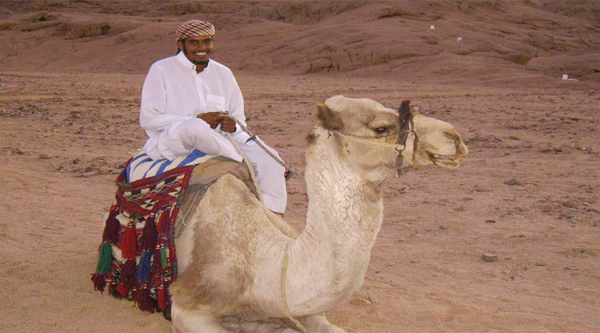 
Desert camel rides in Egypt