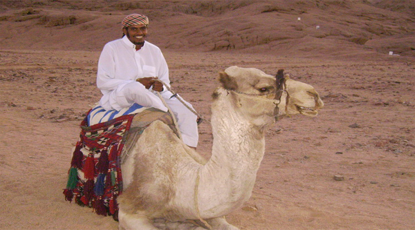  Desierto paseos en camello en Egipto