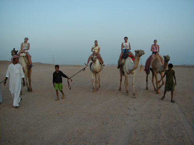 Катание на верблюдах в пустыне