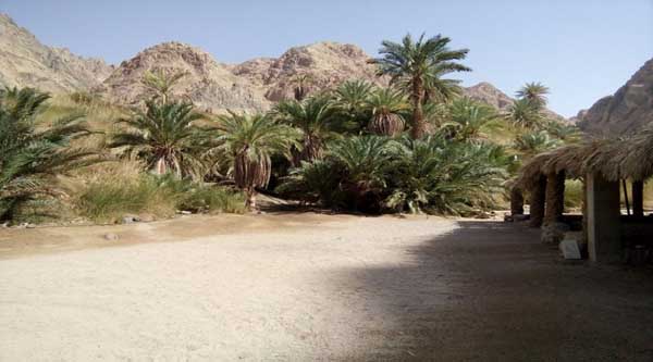 Caminando por Wadi Gnai 