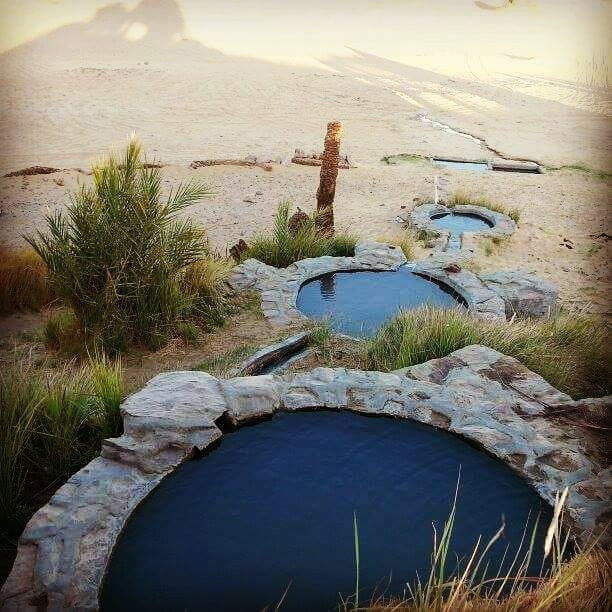 
Springs in Egypt oasis Bahariya