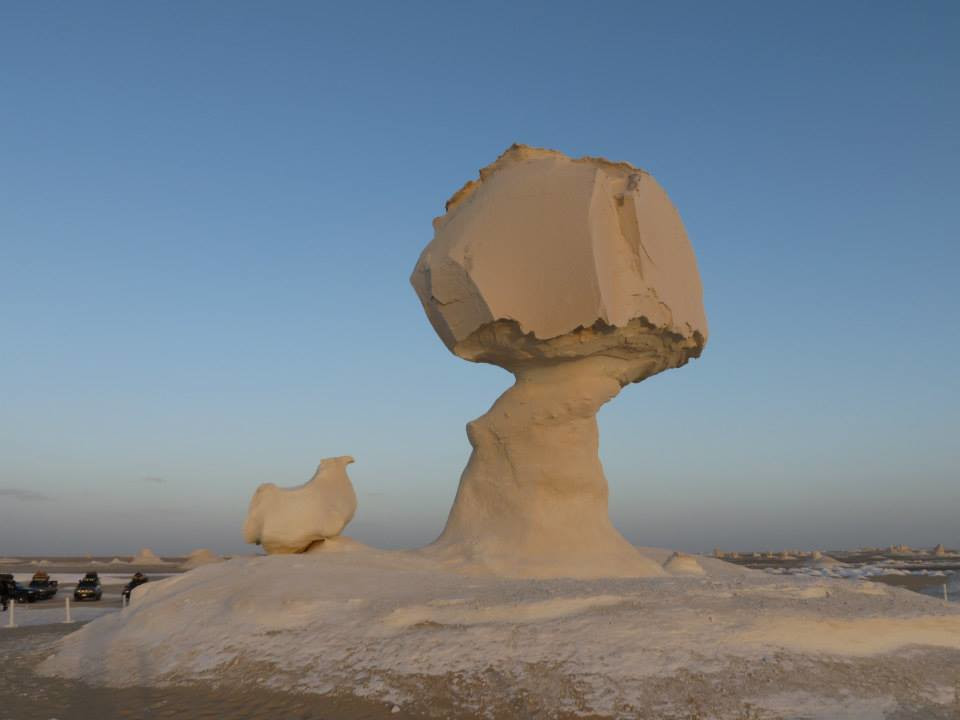 Safari nel deserto bianco e nero