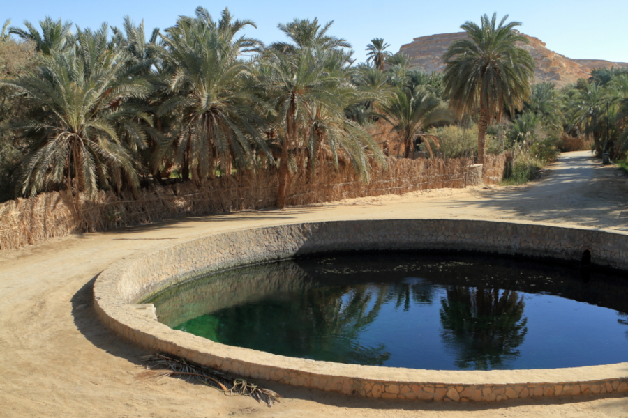 
Tour all'oasi di Siwa dal Cairo