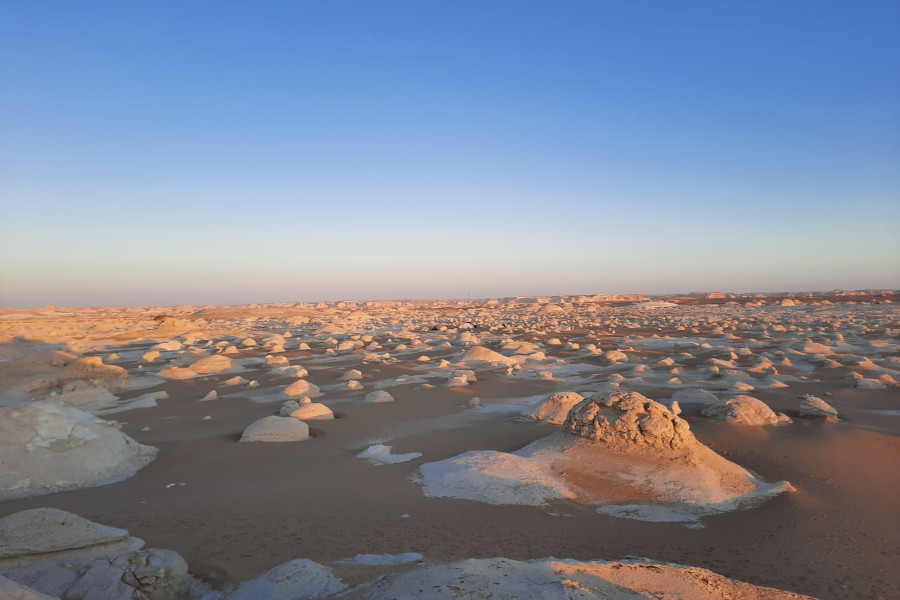 
Egypt White desert tours