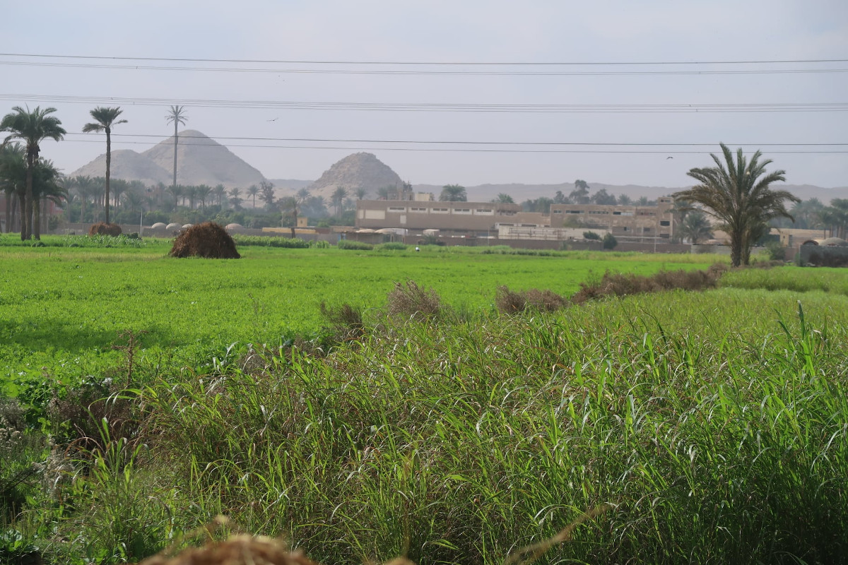 Rural experience in Dahshur