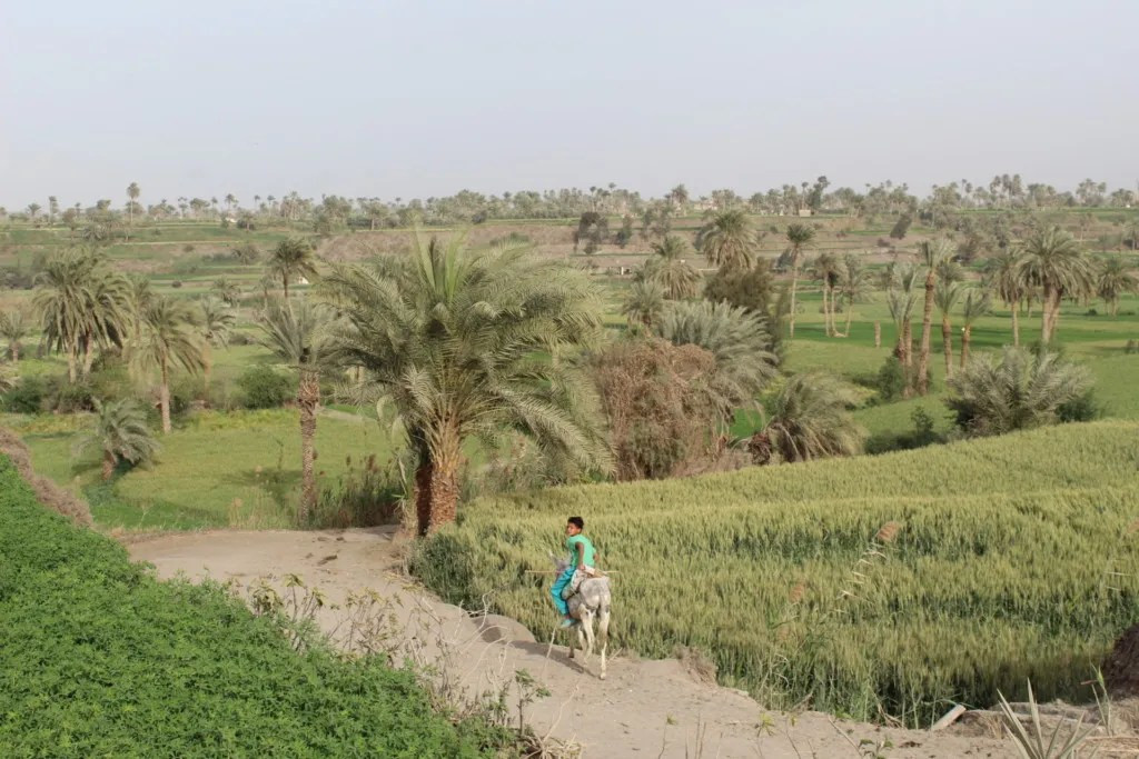 Voyages ruraux à Saqqara Badrashin 