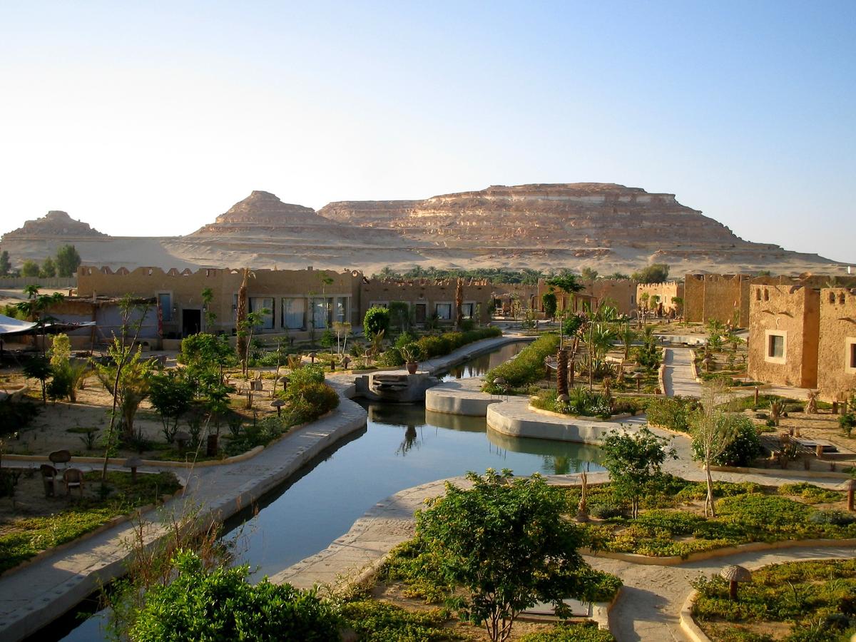  
Retiros en el oasis de Siwa