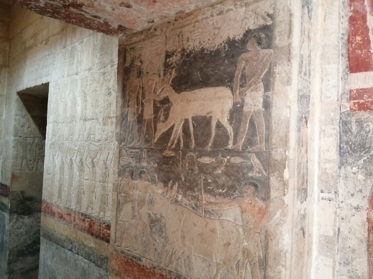 Tour de las tumbas reales de Saqqara